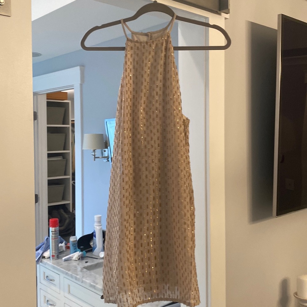 Show Me Your Mumu Mini Dress